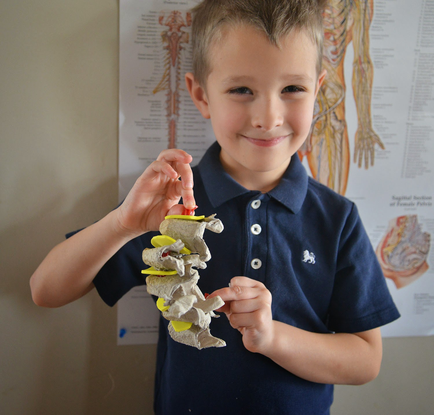 A school of fish Spinal Cord model with egg carton and licorice