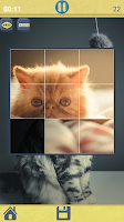 puzzles de gatos