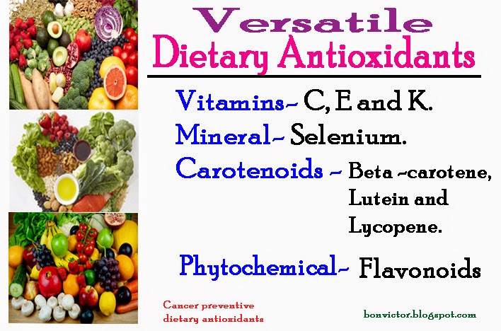 anti-oxidants diet for cancer