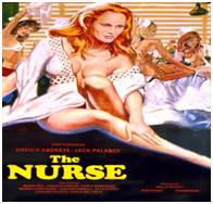 The Sensuous Nurse (1975) Dual Audio BluRay 480p 300MB