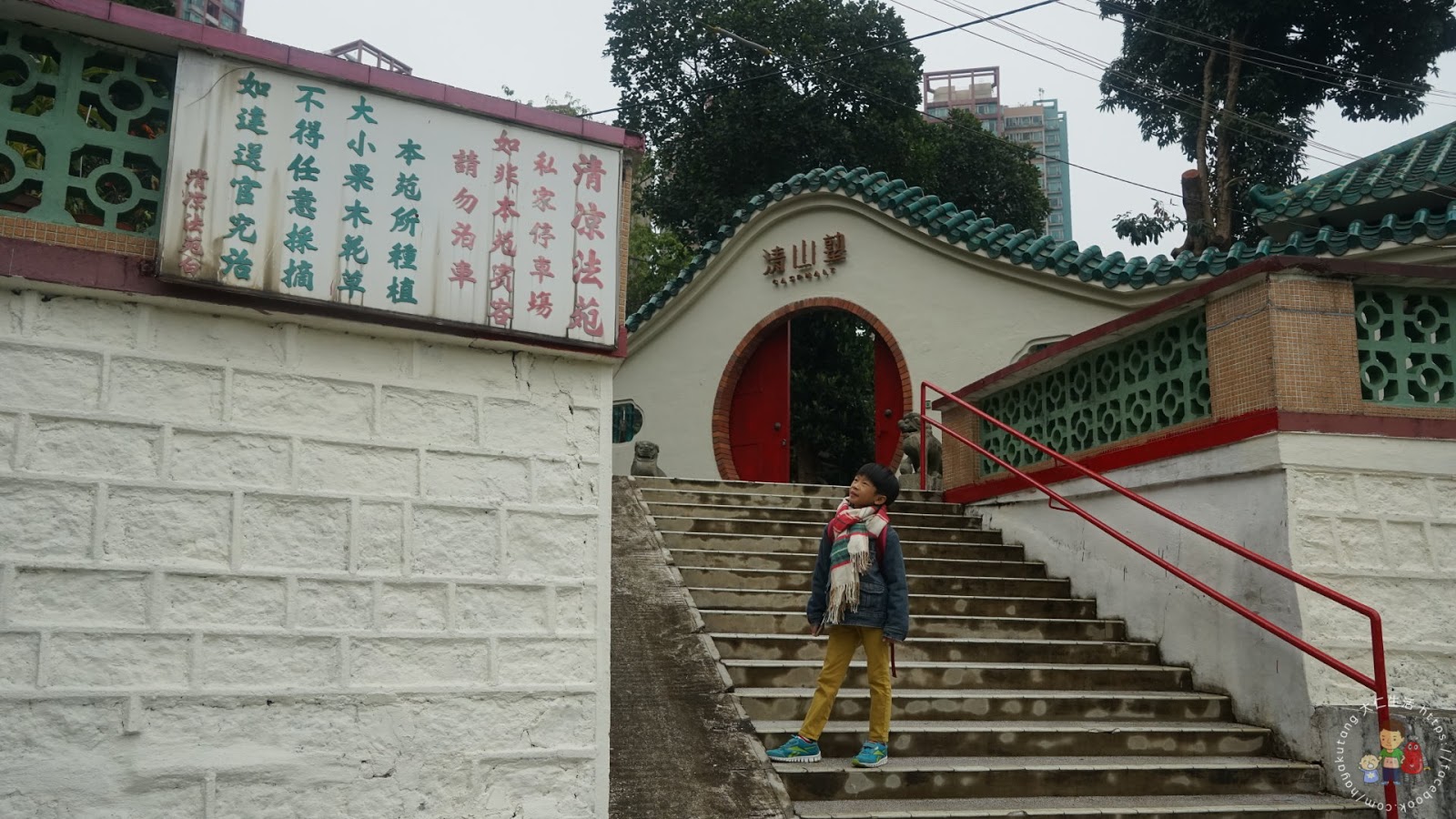 大仁生活 青山原是我身邊伴 隱世文化 素食新體驗 屯門