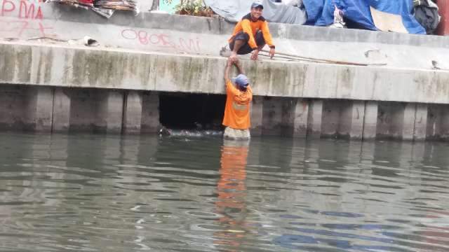 Demi Seekor Kucing, Petugas Kebersihan Ini Rela Masuk Ke Lubang Saluran Air Kotor