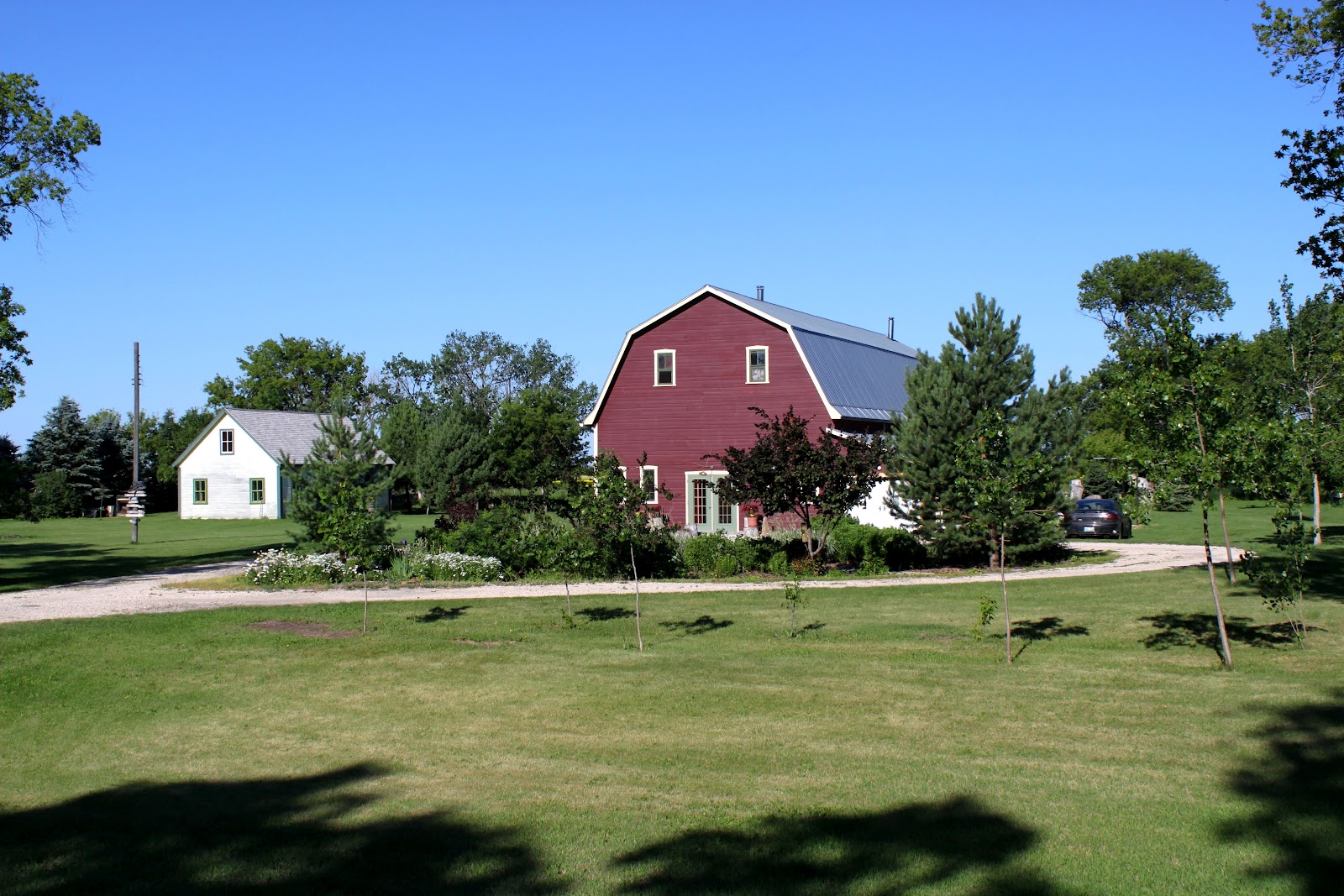 Still Life With Birder New Bergthal Mennonite Street Village