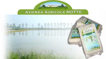 Azienda Agricola Motte : Produttori riso