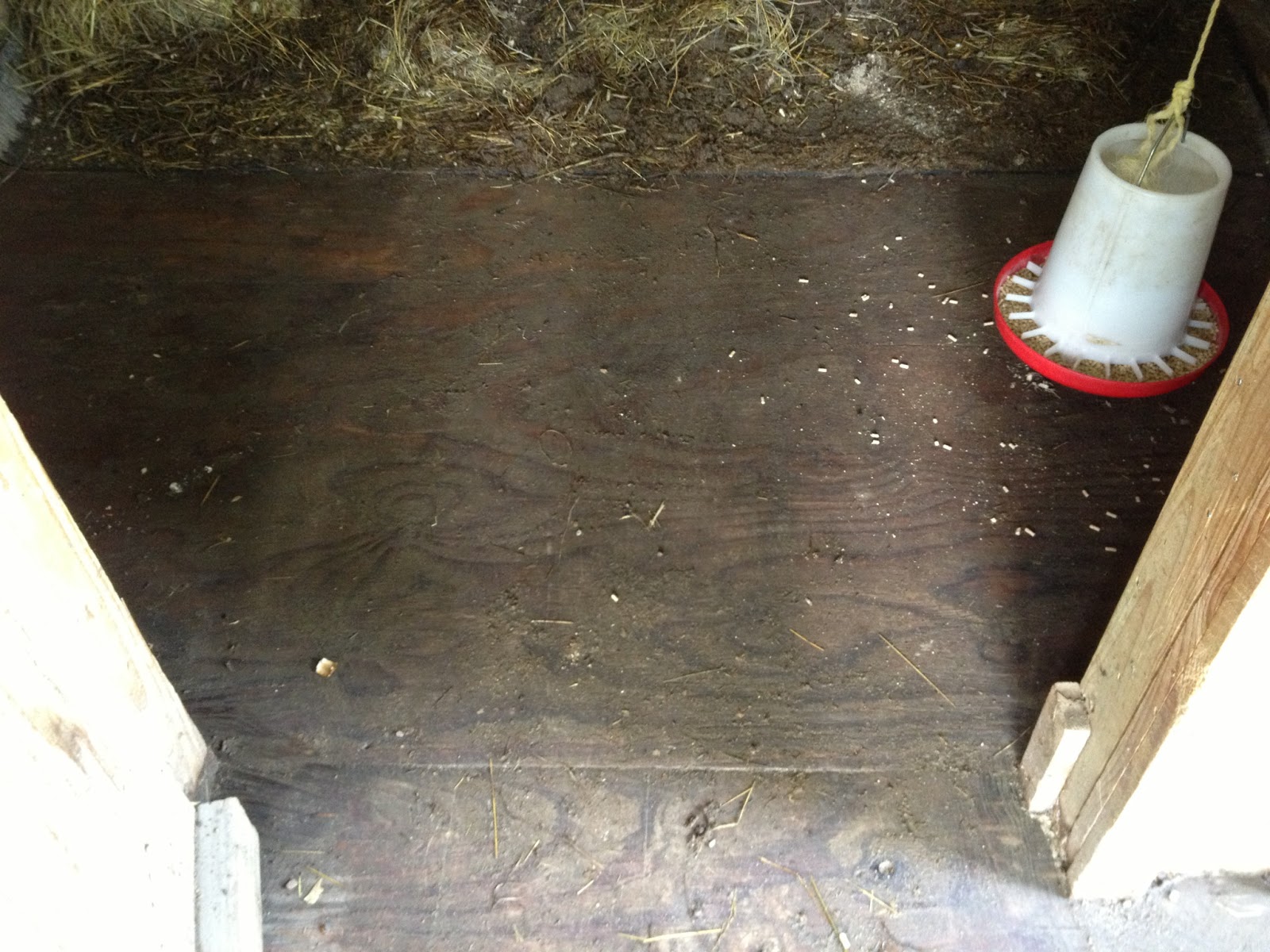 How to dry out a wet chicken coop Murano Chicken Farm