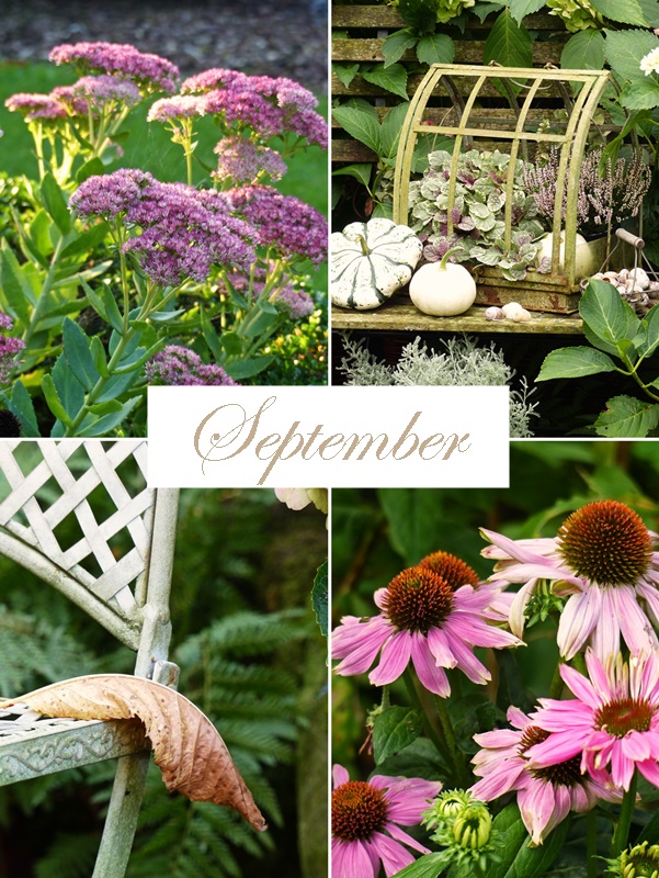 Rapid Identification Of Inflorescence Type Markers By Genotyping