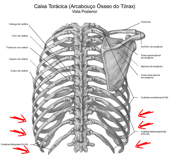 Fórum de cirurgia plástica de um peito