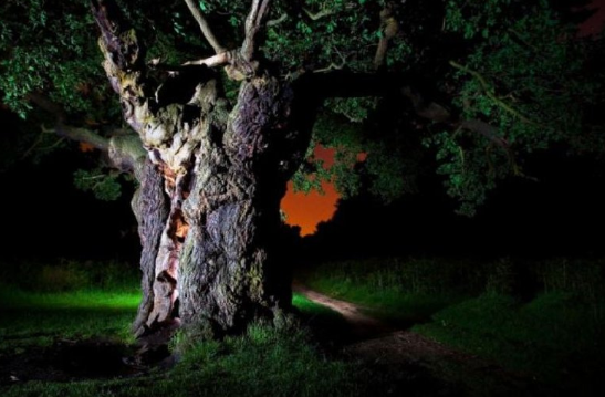 7 Arti Mimpi Menangkap Maling Yang Masuk Rumah Blog Arti Mimpi Dalam Kehidupan