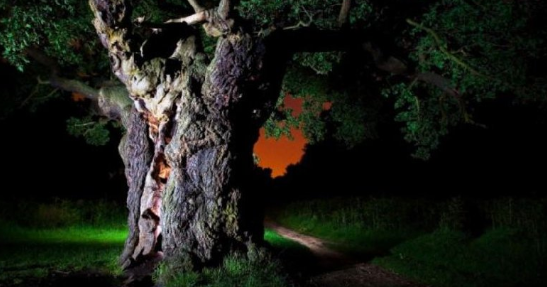 7 Arti Mimpi Menangkap Maling Yang Masuk Rumah Blog Arti Mimpi Dalam Kehidupan