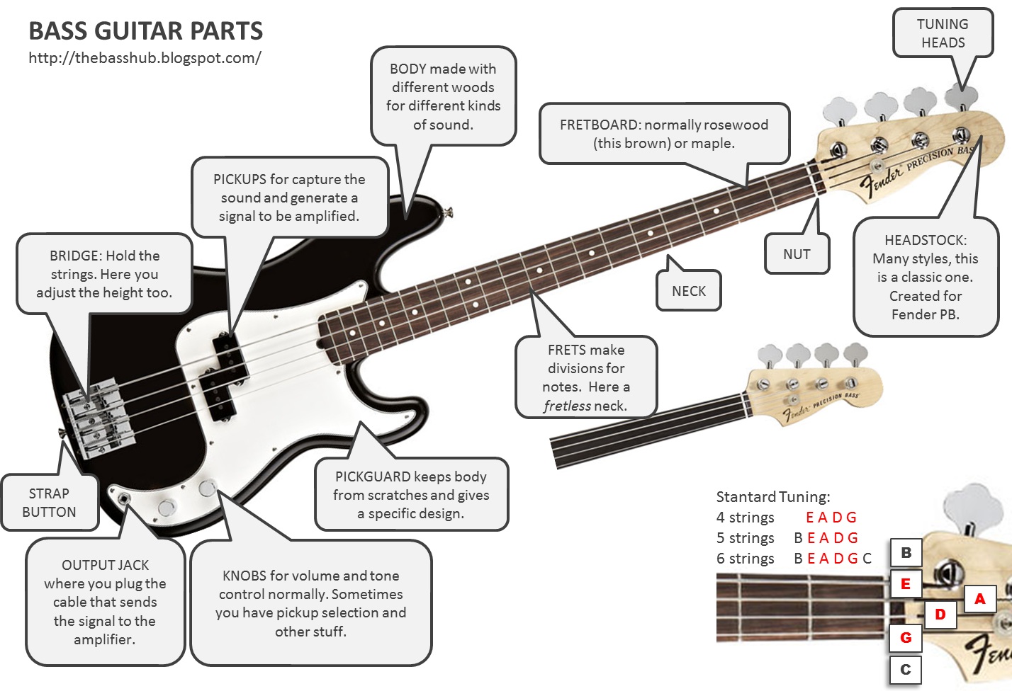 THE BASS HUB