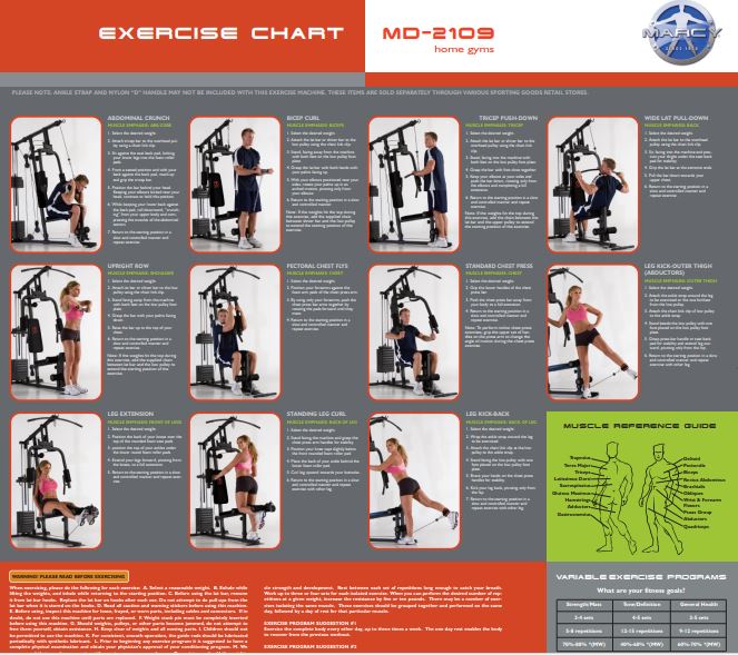 Home Gym Exercise Chart