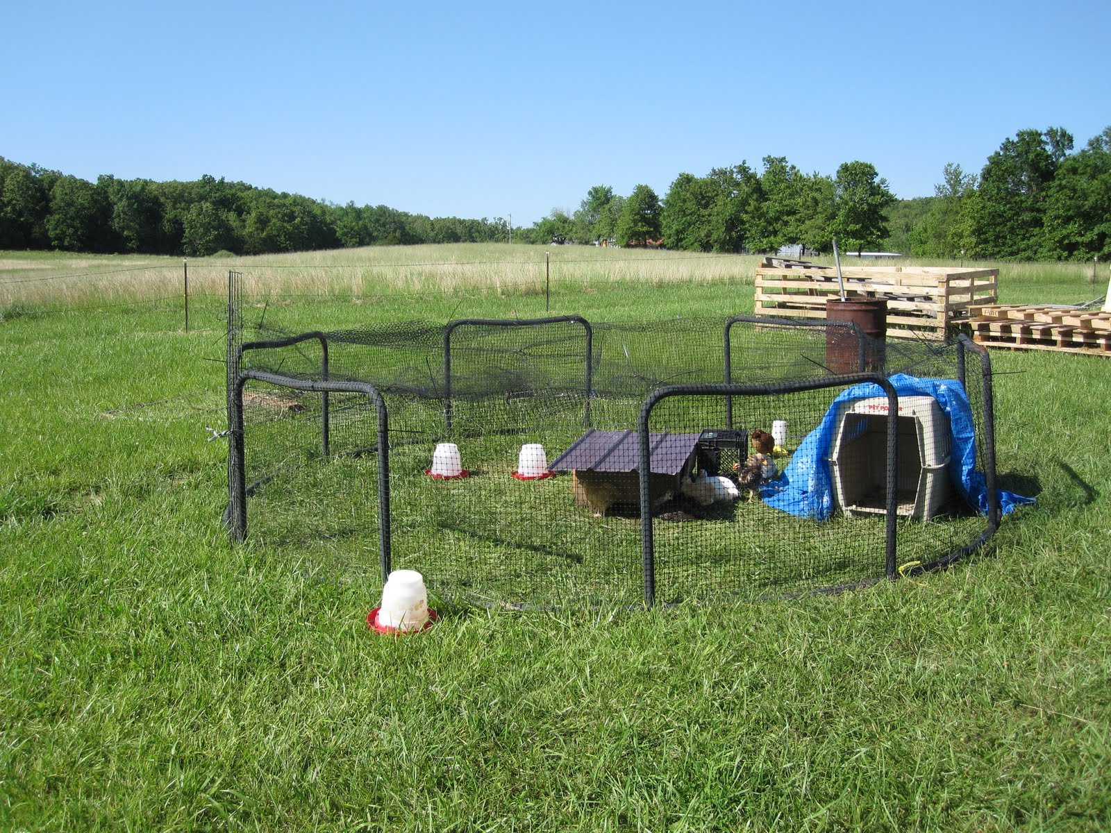 Authentic Living at Goat Creek Recycle, Reuse Trampoline Frames