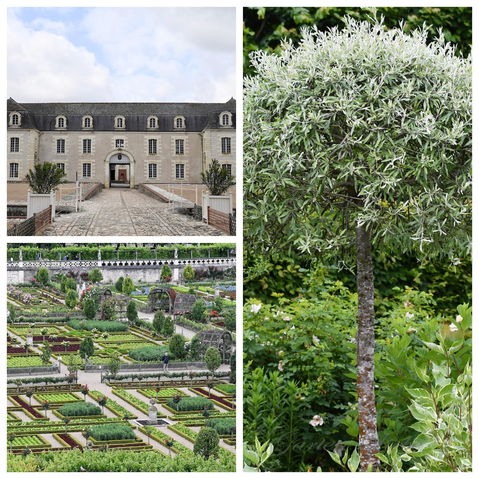 *GartenLiebe* besuch im.....Schloss Villandry F