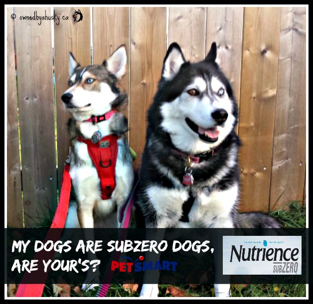 Nutrience Grain Free Dog Food - Feel The #SubZeroDifference