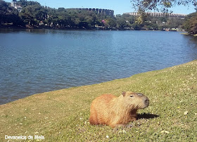 Lagoa da Pampulha Belo Horizonte BH