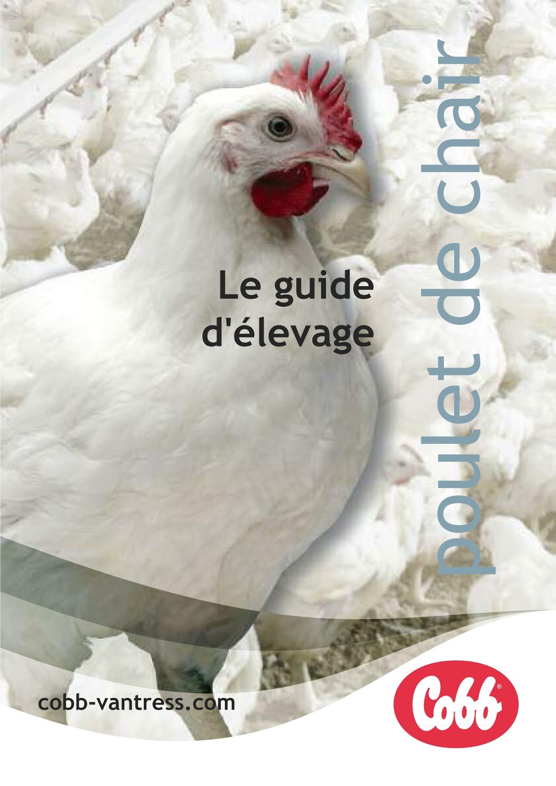 Guide d'élevage du poulet de chair