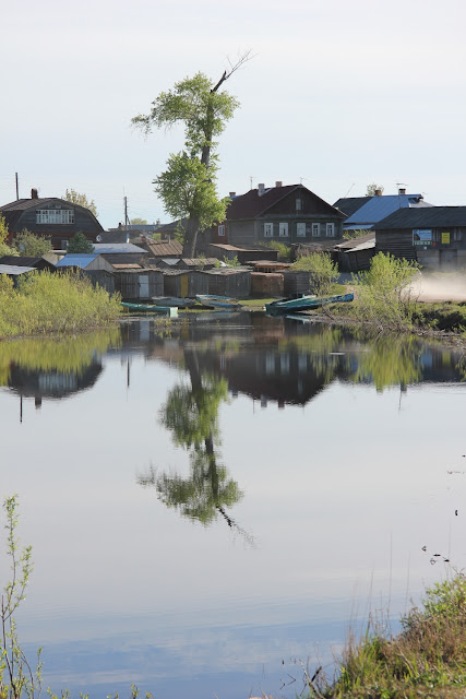 ������ ���� �� ����