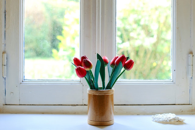 Flowers in Window