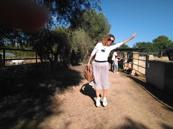 Camiseta flamenco azul