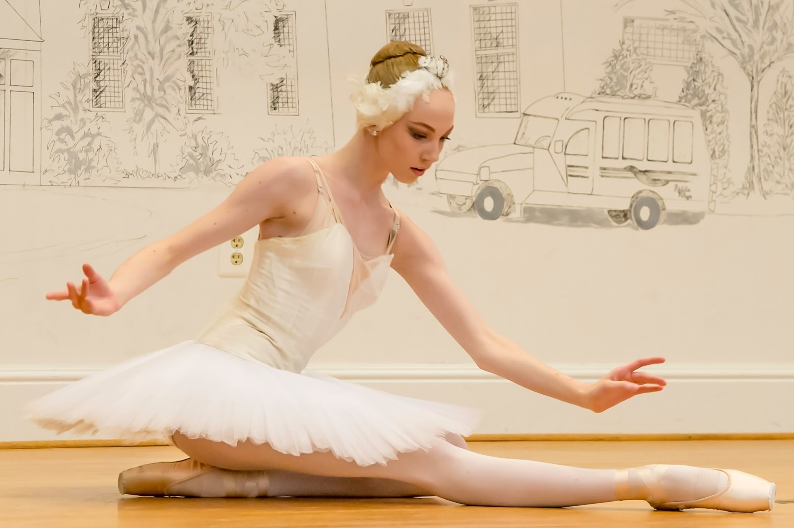 Delco Top Ten The Dying Swan Ballet Chamber Performance