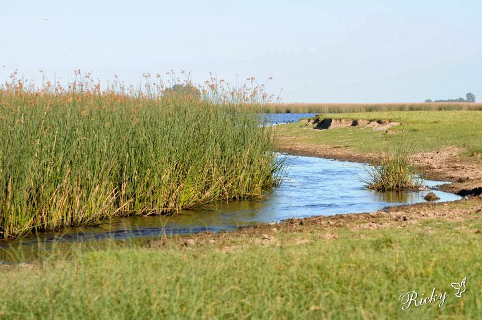 RiCKy Laguna las Toscas