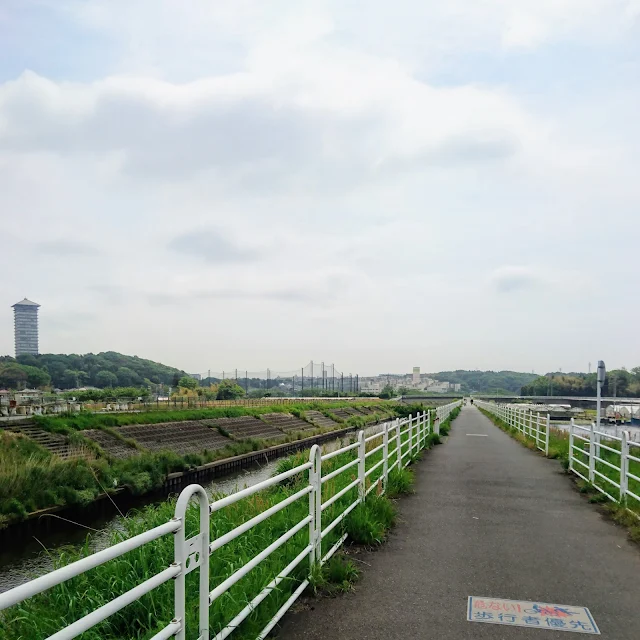 境川自転車道　横浜薬科大のタワー