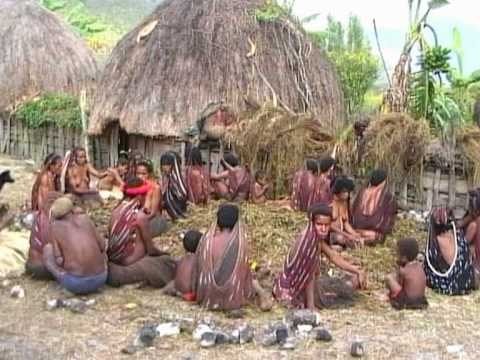 7 Elemen Budaya Papua Sistem Kemasyarakatan atau Organisai Sosial