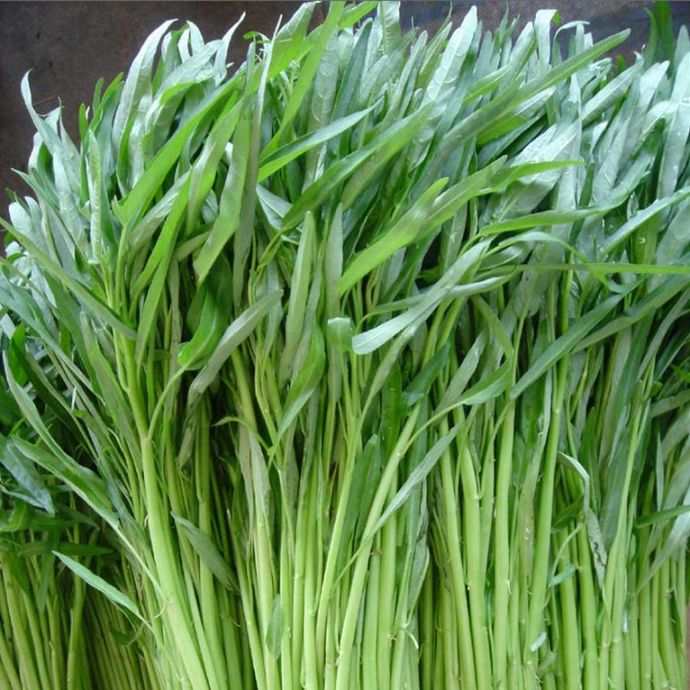 шпинат умывается так. шпинат борнео. шпинат вода. шпинат какой на вкус. шпинат стоик.