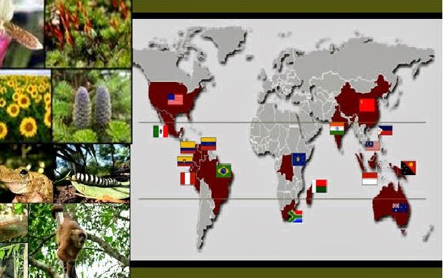 vida geográfica : PAÍSES MEGADIVERSOS