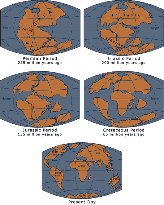 The Formation Continent Science Lovers
