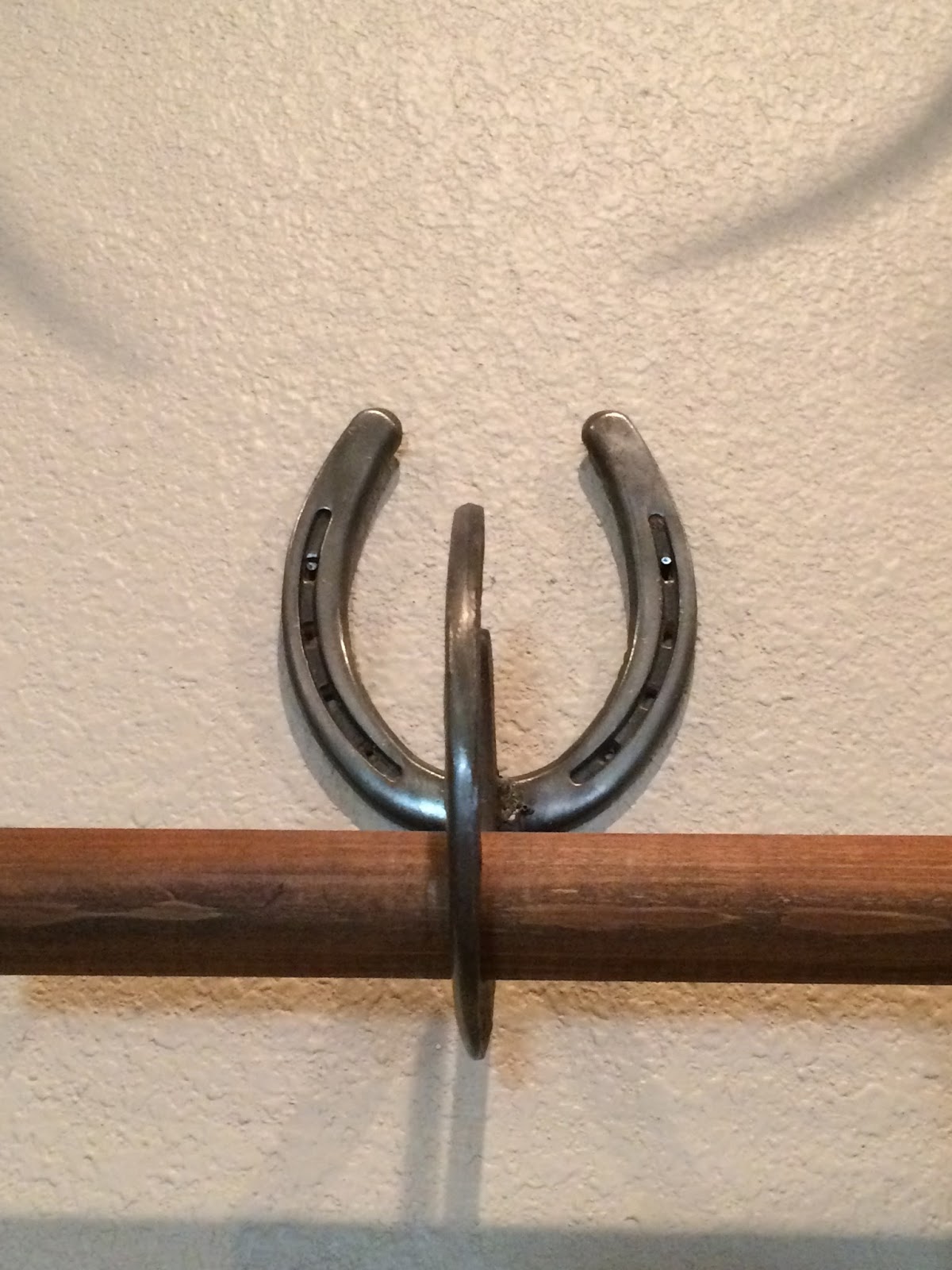 A Tispy Oklahoma Gardener How to Hang a Cowhide Rug