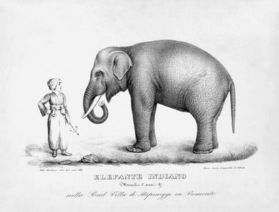 Resultado de imagen de el viaje del elefante