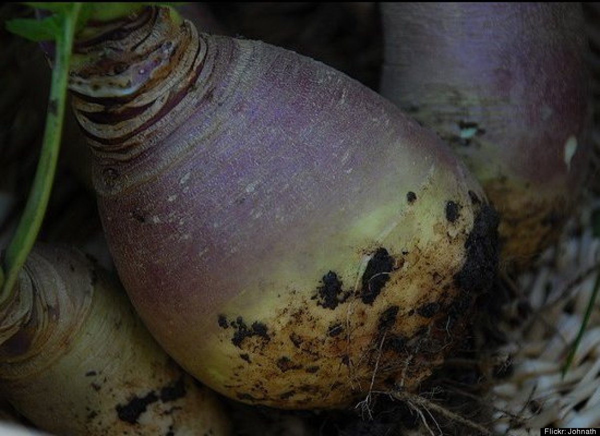 Latest News On Real Estate Property Investment Selling Buying Homes Travel Vacation