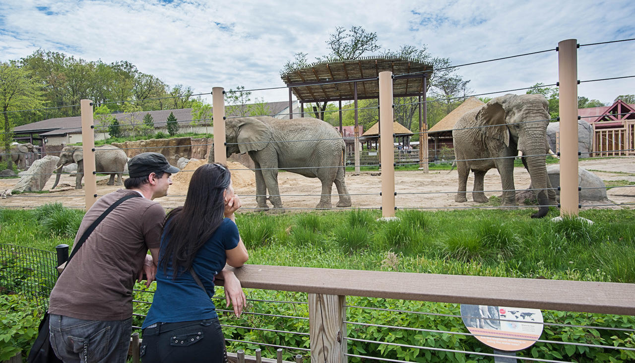 zoo+ - France News Collections