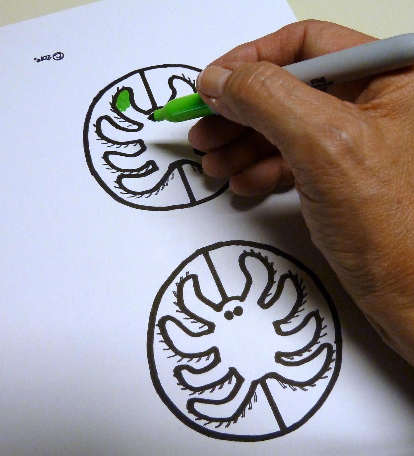 Kids Craft Halloween Spider