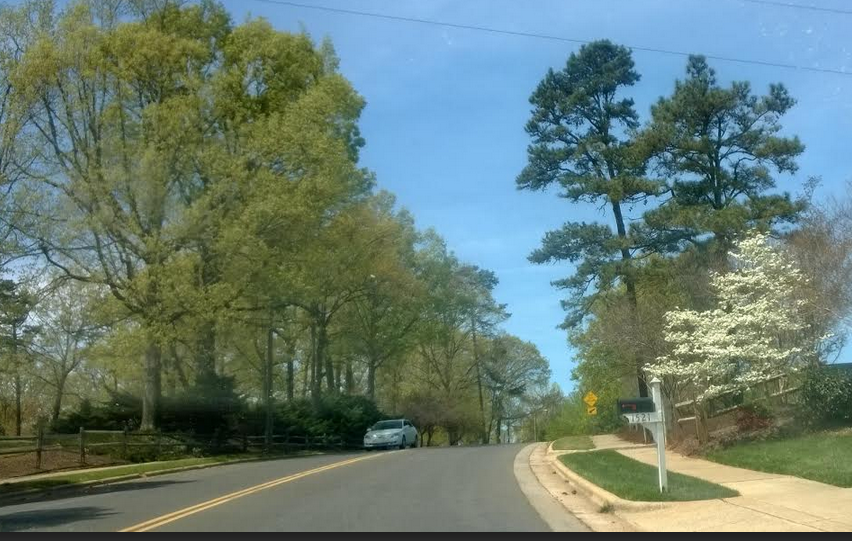 Hurricane Harbor Pine Pollen Storm in Raleigh . . and across the South