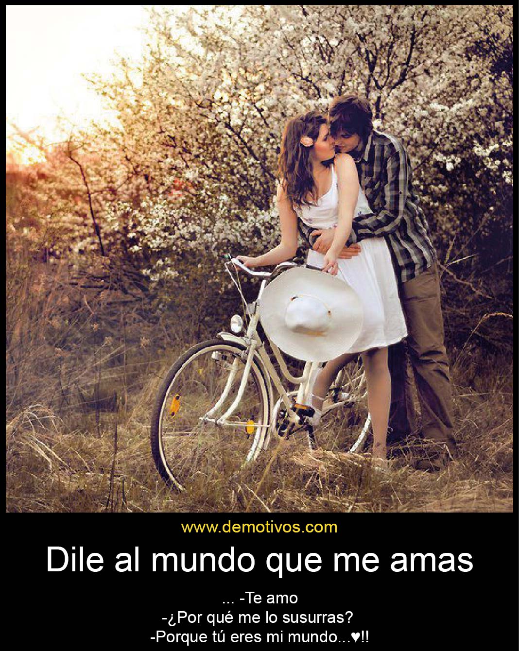 Dile al Mundo que me Amas Te amo ¿Por qué me lo susurras? Porque