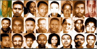 victims 2005