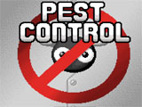 Pest Control