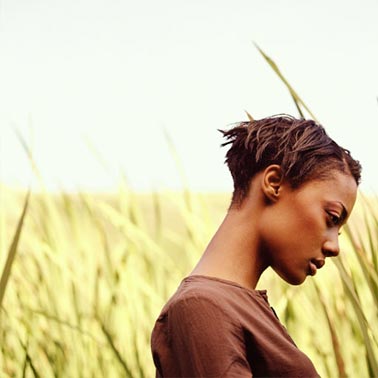 Best Top Desktop Wallpapers: Royality free Images