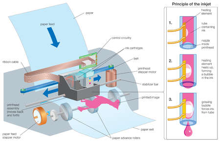 Enggematerial: Different types of printer with their function and