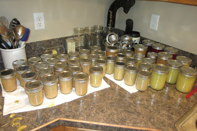 Sewin Sanity: Canning apple sauce and pear sauce for baby food