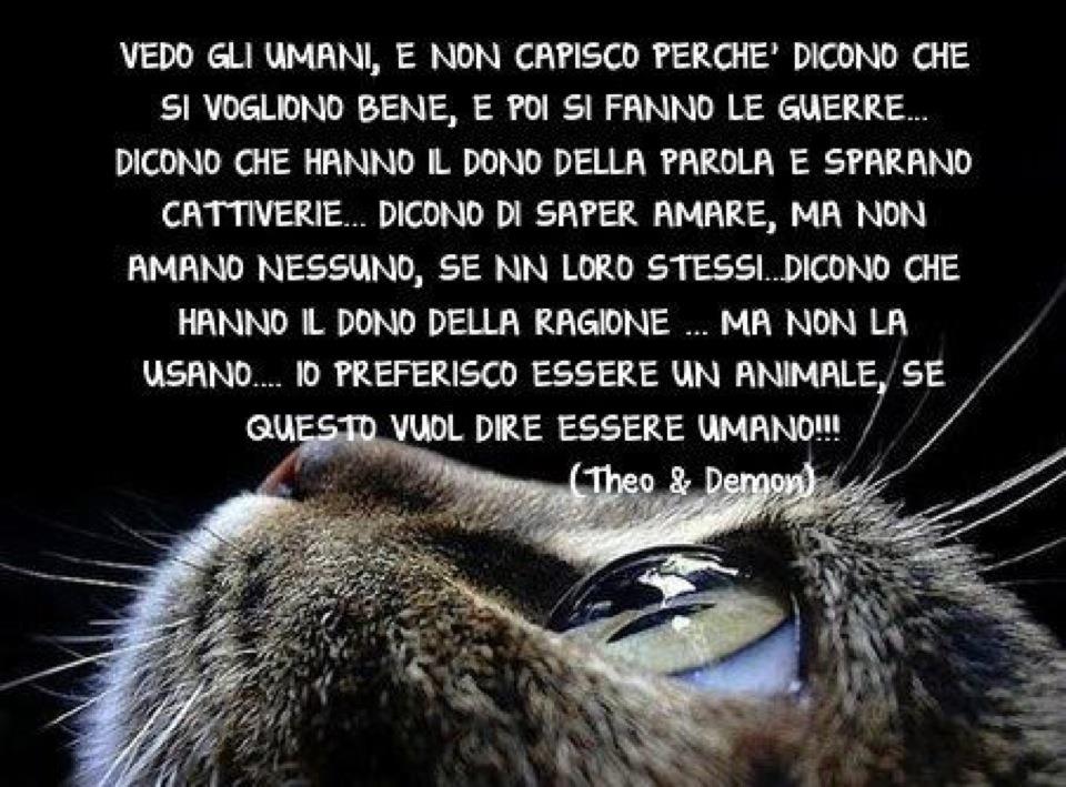 FRASI, AFORISMI E ALTRO ESSERE UMANO FRASI, AFORISMI E ALTRO ESSERE UMANO