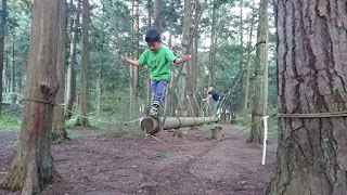 好奇心旺盛なアマツ人blog