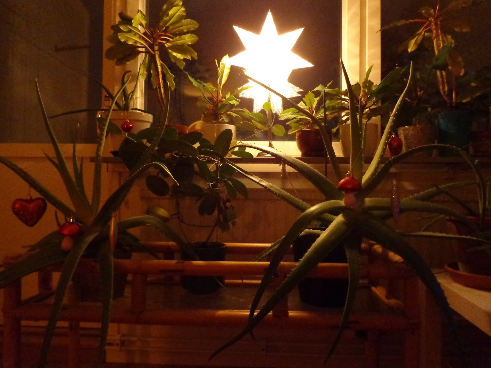 I Skrivande Stund Traditionellt julfirande, finns det?