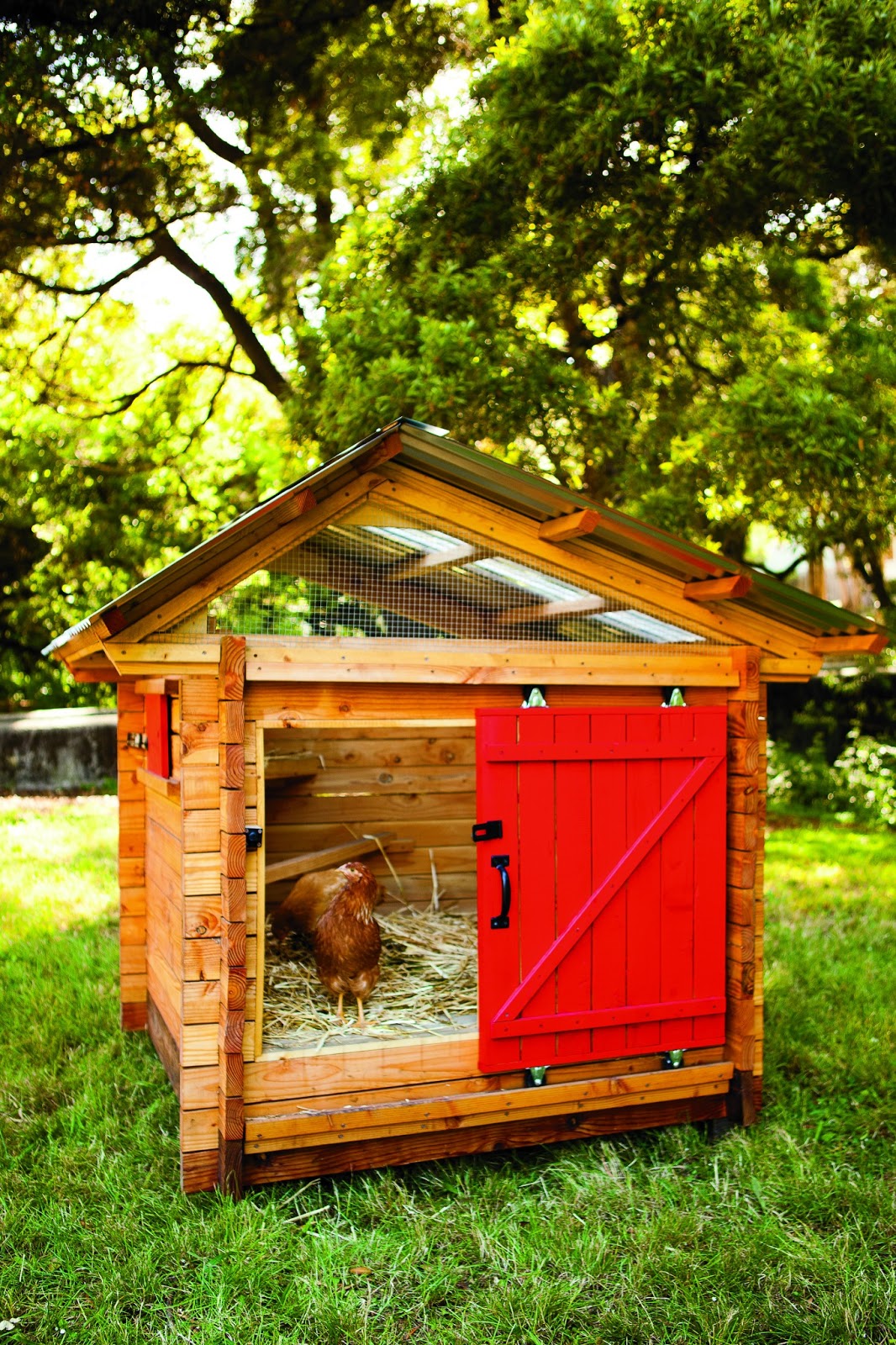 Book Review: Reinventing The Chicken Coop | Community Chickens