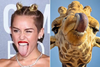 Miley Cyrus humor