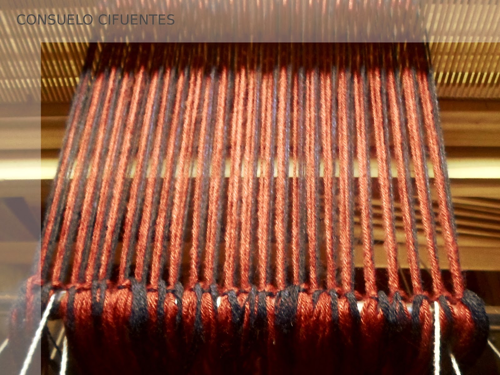 Tejiendo al Sur del Mundo Un enmallado muchas urdimbres