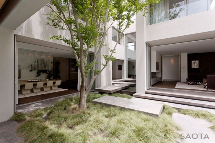 Vegetation in the backyard of Contemporary Villa by SAOTA