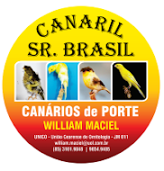 CANARIL SR BRASIL